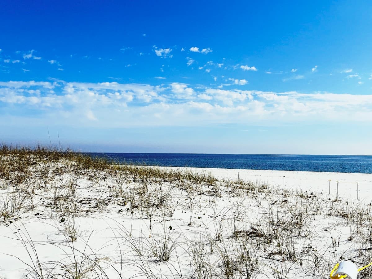 Beach dunes at Perdido Key