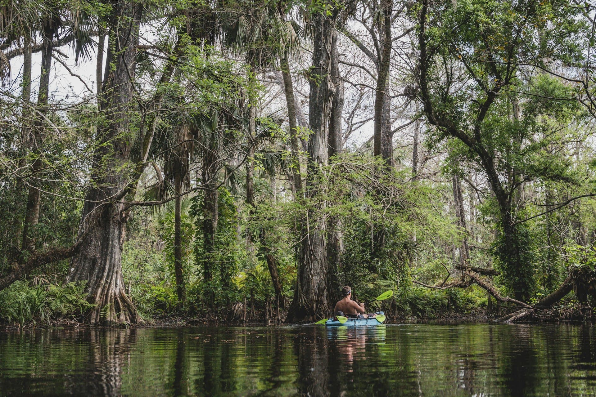 Boating on a calm southern river surrounded by lush green trees