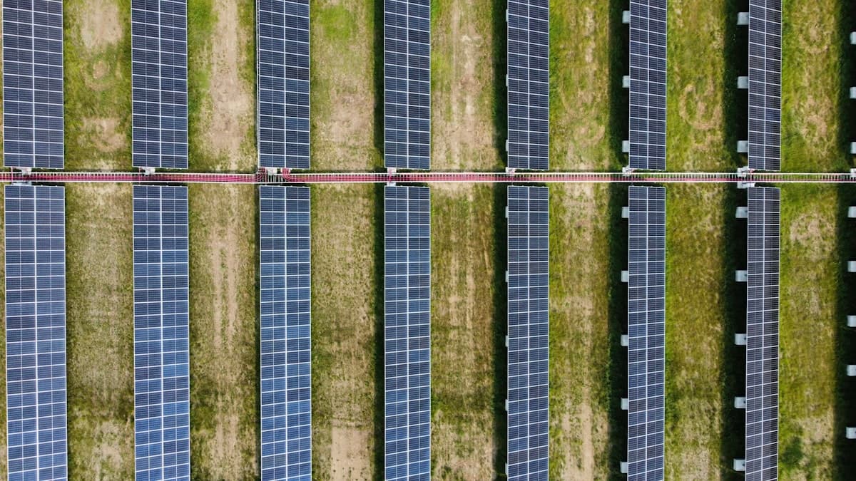 The Solar Farm Debate: What 4,500 Acres of Solar Panels Could Mean for Baldwin County