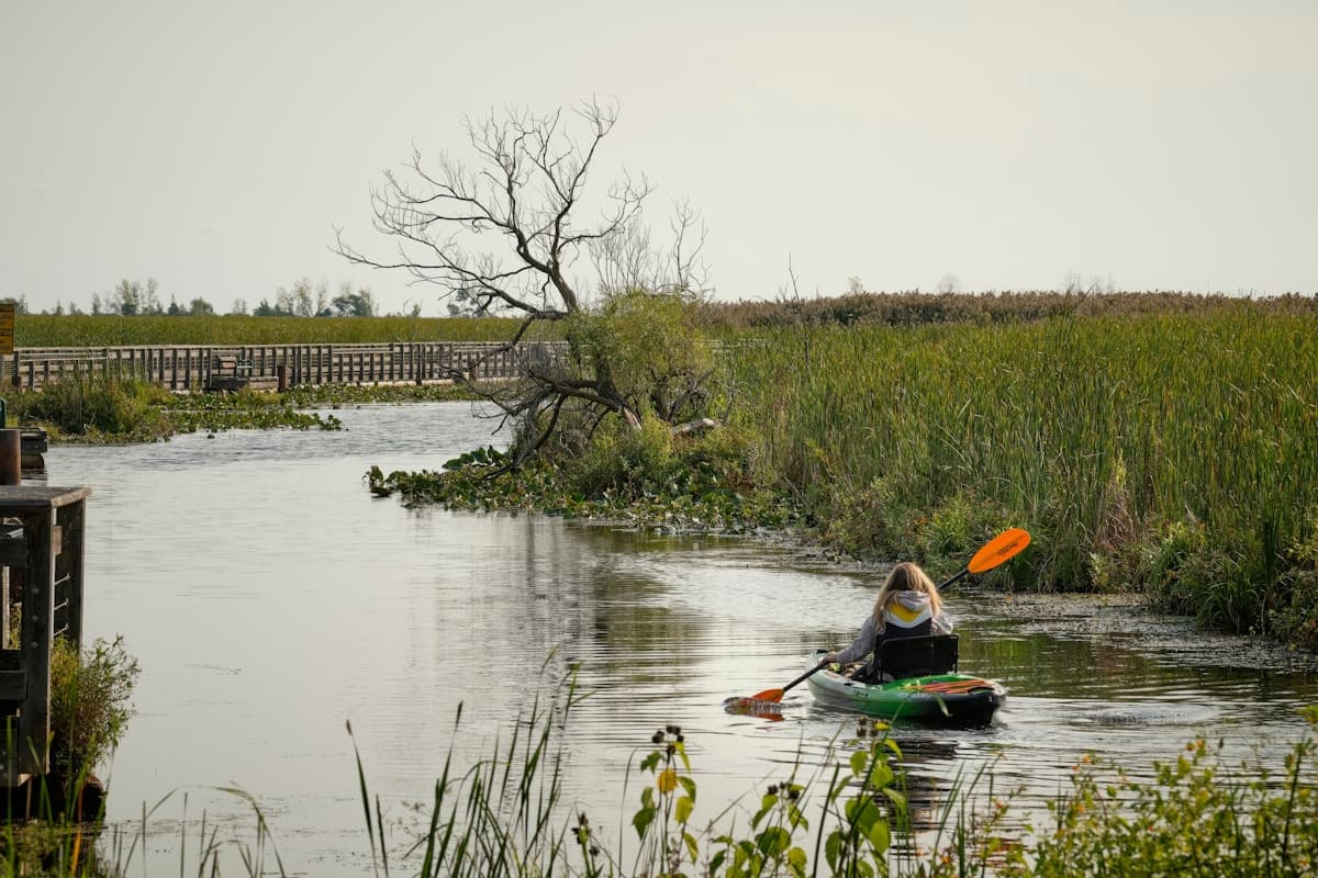 Calm bay waters at sunset near Lillian, Alabama